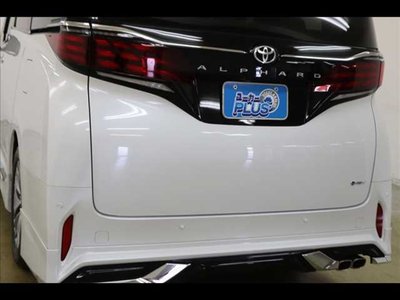 2024 Toyota ALPHARD 照片 53