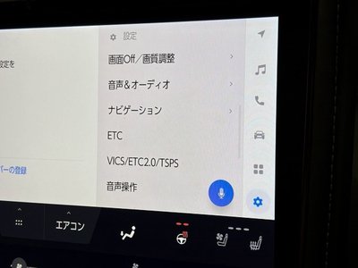 2025 Toyota ALPHARD — фото 43