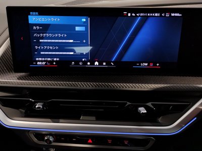 2025 BMW XM thumbnail 45