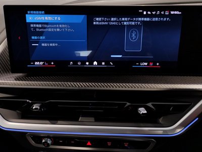 2025 BMW XM thumbnail 43