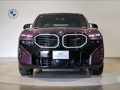 2025 BMW XM thumbnail 5