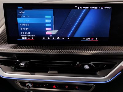 2025 BMW XM thumbnail 46
