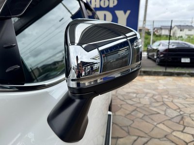 2024 Toyota LAND CRUISER 300 thumbnail 64