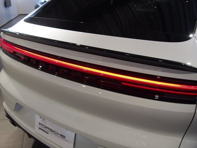 2024 Porsche CAYENNE thumbnail 20