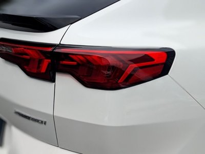 2024 BMW X2 photo 10