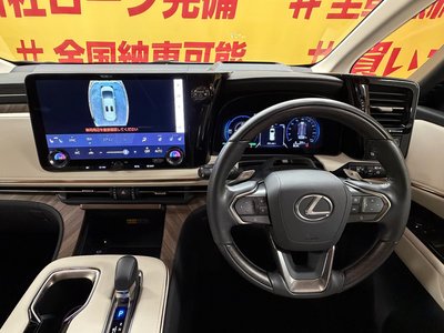 2024 Lexus LM photo 33