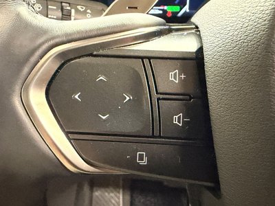 2024 Lexus LM photo 21