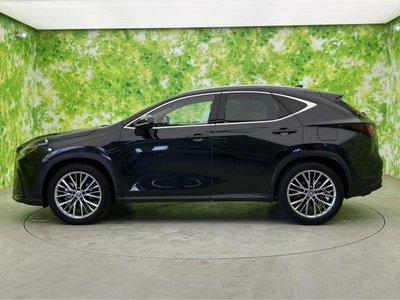 2023 Lexus NX photo 2