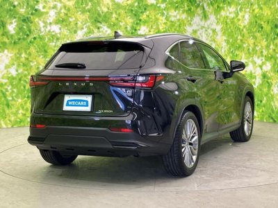 2023 Lexus NX photo 3