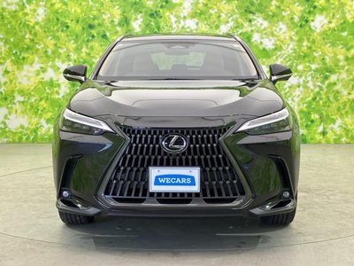 2023 Lexus NX photo 46