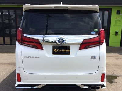 2021 Toyota ALPHARD 照片 29