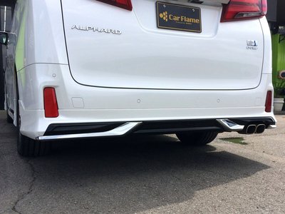 2021 Toyota ALPHARD 照片 12