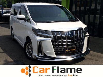 2021 Toyota ALPHARD 照片 1