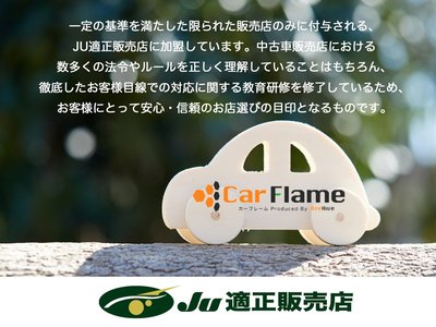 2021 Toyota ALPHARD 照片 68
