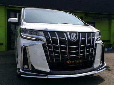 2021 Toyota ALPHARD 照片 10