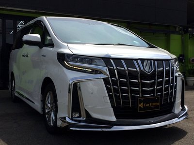 2021 Toyota ALPHARD 照片 25