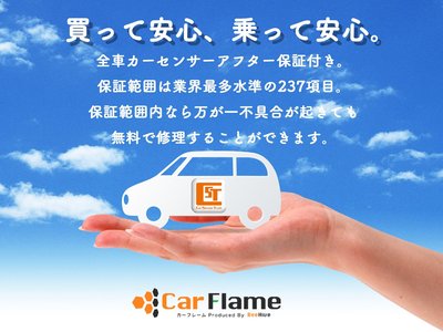 2021 Toyota ALPHARD 照片 75