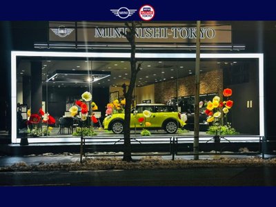 2025 MINI COOPER COUNTRYMAN 照片 71