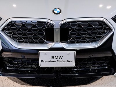 2025 BMW X2 thumbnail 58