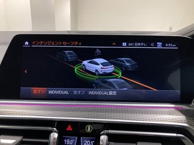 2021 BMW X6 thumbnail 18