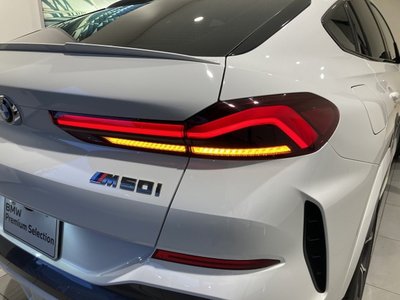 2021 BMW X6 thumbnail 48