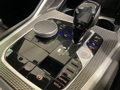 2021 BMW X6 thumbnail 20