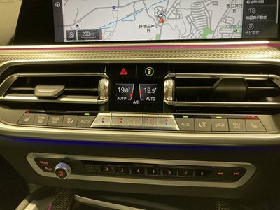 2021 BMW X6 thumbnail 19