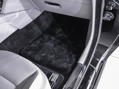 2025 ROLLS-ROYCE SPECTRE 照片 18