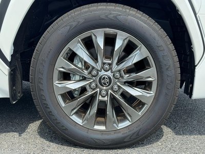 2025 Toyota LAND CRUISER 300 照片 15