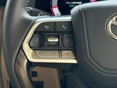 2025 Toyota LAND CRUISER 300 照片 58