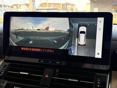 2025 Toyota LAND CRUISER 300 照片 10