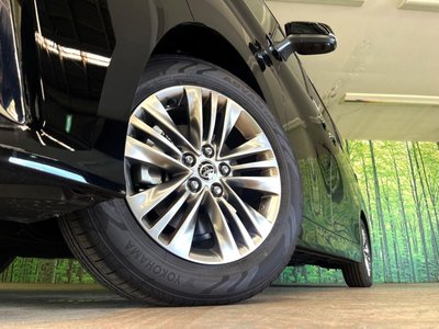 2025 Toyota ALPHARD 照片 15