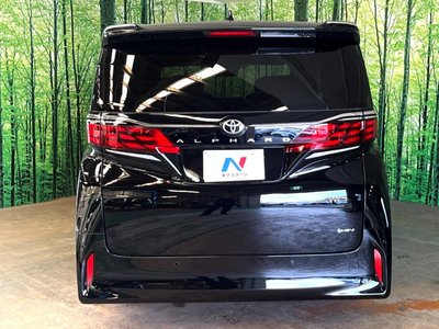 2025 Toyota ALPHARD 照片 17