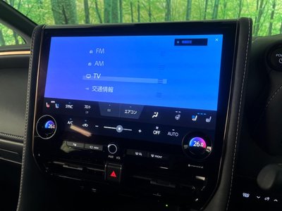 2025 Toyota ALPHARD 照片 57