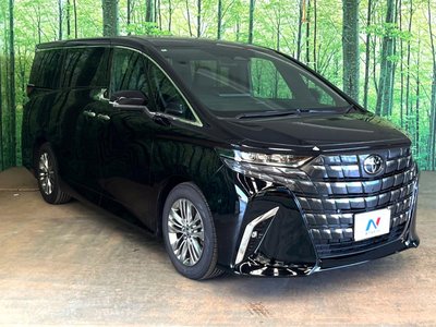 2025 Toyota ALPHARD 照片 18