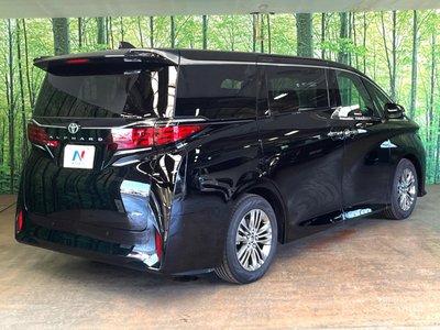 2025 Toyota ALPHARD 照片 19
