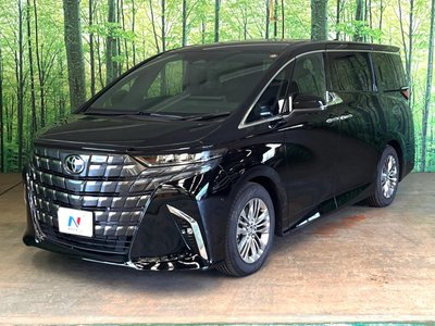 2025 Toyota ALPHARD 照片 31