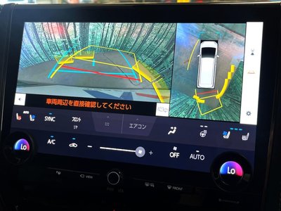 2025 Toyota ALPHARD 照片 40