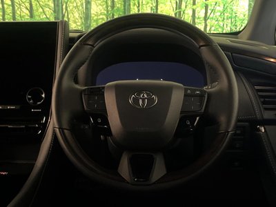 2025 Toyota ALPHARD 照片 13
