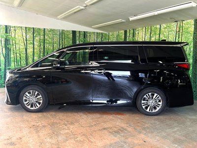 2025 Toyota ALPHARD 照片 33