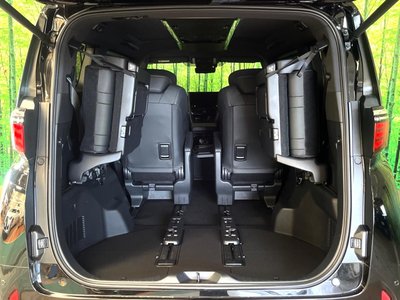 2025 Toyota ALPHARD 照片 12