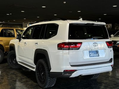 2023 Toyota LAND CRUISER 300 — фото 34