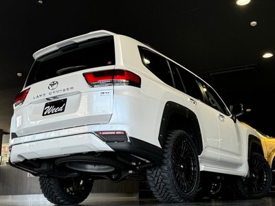 2023 Toyota LAND CRUISER 300 — фото 28