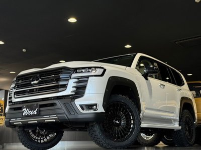 2023 Toyota LAND CRUISER 300 — фото 4
