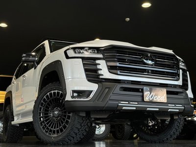 2023 Toyota LAND CRUISER 300 — фото 13