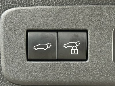 2024 Toyota LAND CRUISER 250 照片 23