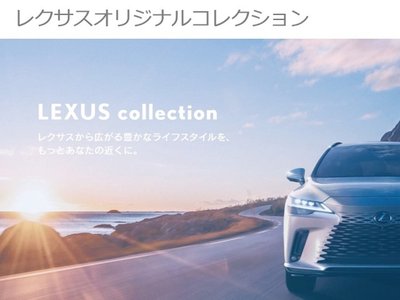 صورة 42 لـ 2025 Lexus GX