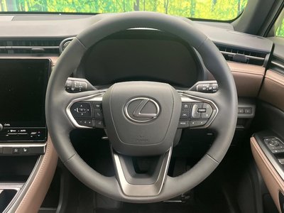 2025 Lexus LBX photo 11