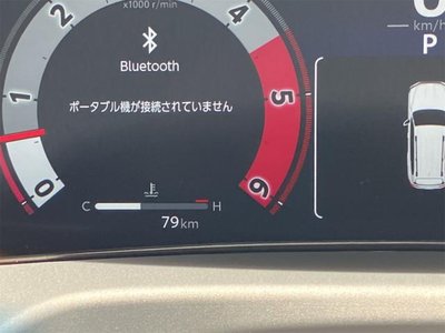 2026 Toyota LAND CRUISER 300 照片 16