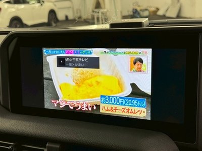 2024 Toyota LAND CRUISER 250 照片 36
